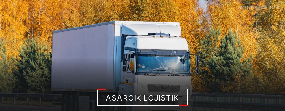 Asarcık Lojistik Kargo