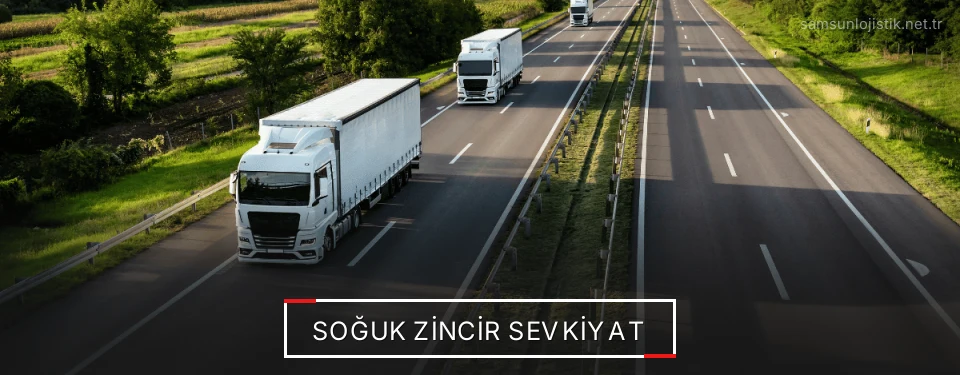 Samsun Frigo Taşımacılık Firmaları Samsun Frigo Taşımacılık Firmaları